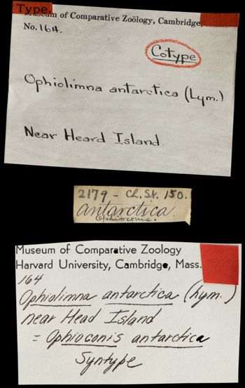 Media type: image;   Invertebrate Zoology OPH-164 Aspect: labels